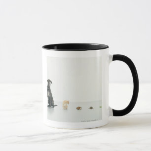 Tasse Great dane, chat, cobaye, tortue et lingot