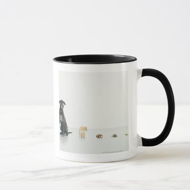 Tasse Great dane, chat, cobaye, tortue et lingot (Droite)