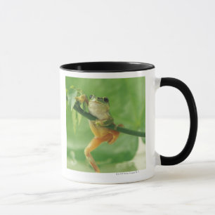 Tasse Grenouille d'arbre