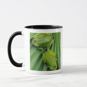 Tasse Grenouille d'arbre d'écorcement (gratiosa de hyla