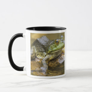 Tasse Grenouille le long de la rivière Buffalo, Mile 126