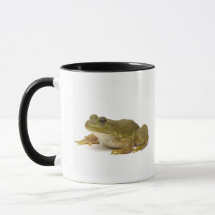 Tasse Grenouille verte commune
