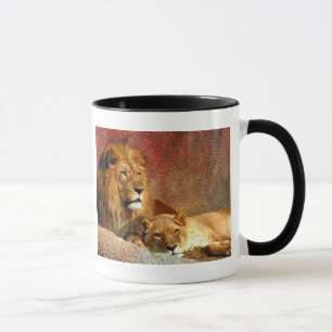 Tasse Gros Chats - 6