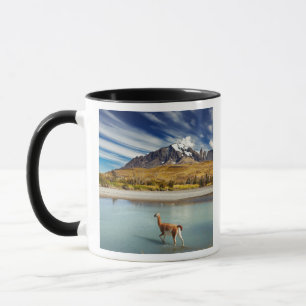 Tasse Guanaco traversant la rivière en Torres del Paine