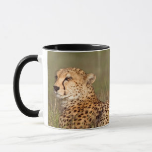 Tasse Guépard allongé dans l'herbe, Ngorongoro Conservat