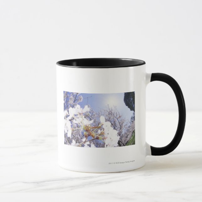 Tasse Guêpe sur des fleurs de cerisier, fin (Droite)
