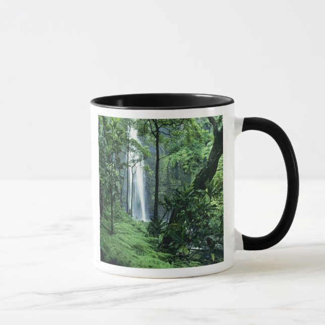 Tasse Hanakapiai tombe le long de la côte de Na Pali, à  (Droite)