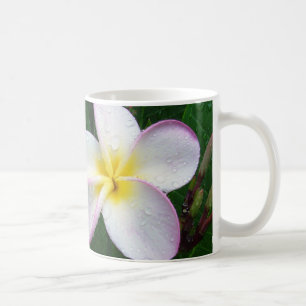 Tasse hawaïenne blanche et pourpre jaune de fleur