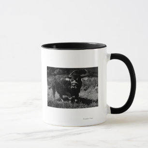 Tasse HawaiiA Water Buffalo Photo Hawaii