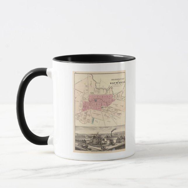 Tasse Haywards, Tannerie de crise (Gauche)