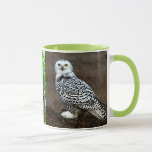 TASSE HIBOU