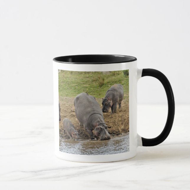 Tasse Hippopotamus, Hippopotamus amphibius, Serengeti (Droite)