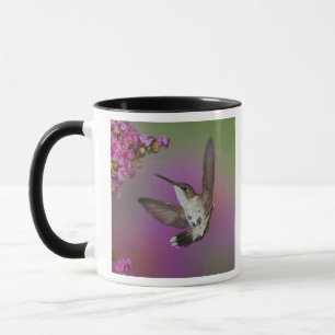 Tasse Homme juvénile Ruby Throsé Hummingbird