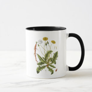 Tasse Illustration de pissenlit vintage