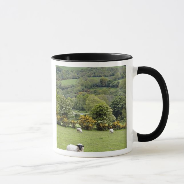 Tasse Irlande de l'Ouest, péninsule de Dingle, large (Droite)
