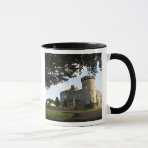 Tasse Irlande, l'entrée latérale du château de Dromoland
