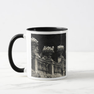 Tasse Italie, province de Lecco, Varenna. Bord du lac