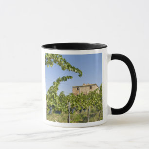 Tasse Italie, Toscane, Montepulciano. Raisins de vin pr