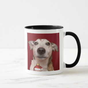 Tasse Jack Russell Terrier tenant l'ornement de Noël