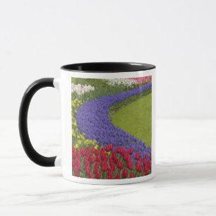 Tasse Jardin de Tulip et de Grape Hyacinth et daffodil,