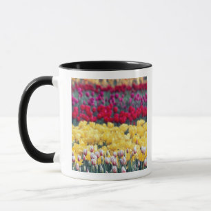 Tasse Jardin de tulipes dans la vallée de Skagit,