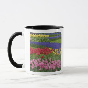 Tasse Jardin de tulipes, de raisin Hyacinth et
