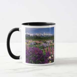 Tasse jardin d'Iris et de Lupine et chaîne de Teton,