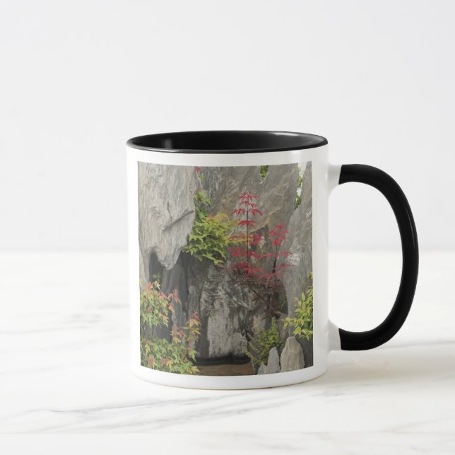 Tasse Jardin familial de Bao, Huangshan, Chine. (Droite)