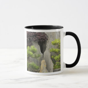 Tasse Jardin familial de Bao, Huangshan, Chine.2