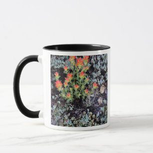 Tasse Jardin miniature à Gem Lake
