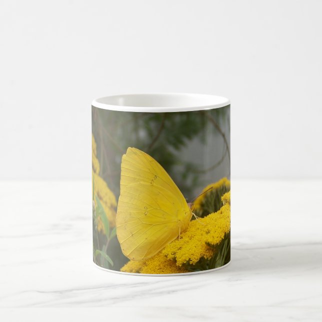 Tasse jaune de papillon (Centre)