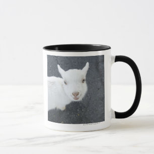 Tasse Jeune chèvre