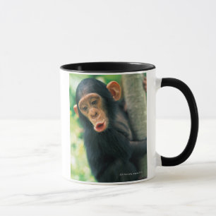 Tasse Jeune chimpanzé (troglodytes de casserole)