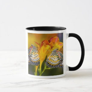 Tasse Jumeaux de papillons tropicaux