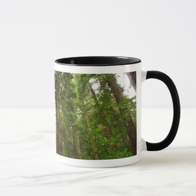 Tasse Jusqu'à Redwoods I au monument national de Muir Wo (Droite)