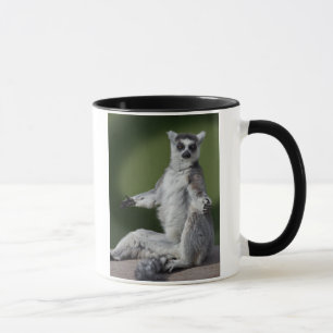 Tasse Just Chill