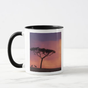 Tasse Kenya : Parc national de Masai Mara, Coucher de so