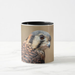 Tasse Kestrel américain
