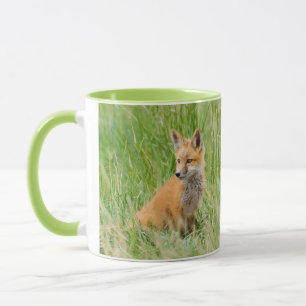 Tasse Kit Renard rouge dans l'herbe près de la tanière