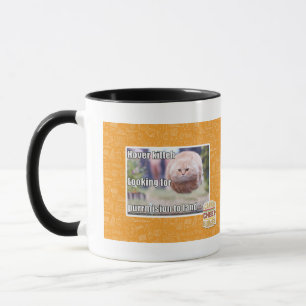 Tasse Kitteh de vol plané