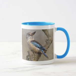 Tasse Kookaburra