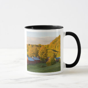 Tasse La ferme de Jenne dans Woodstock, Vermont. Chute.