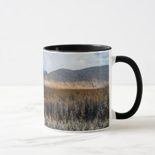 Tasse La Fourche Moyenne Du Flathead