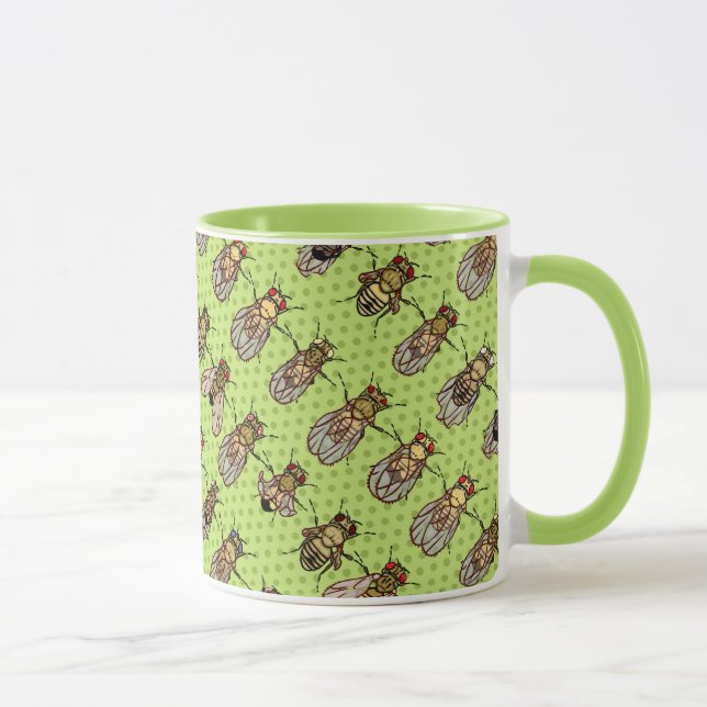 Tasse La génétique de mouche à fruit de drosophile - (Droite)