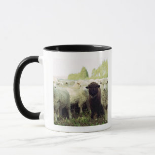 Tasse La Nouvelle Zélande