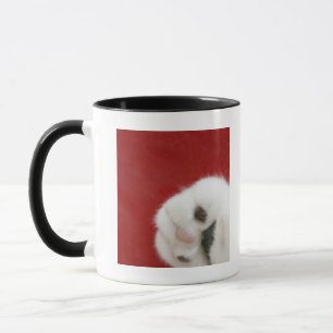 Tasse La patte du chat