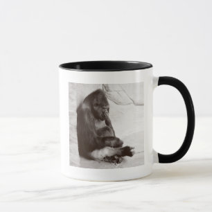 Tasse La photographie Sommeil Gorilla