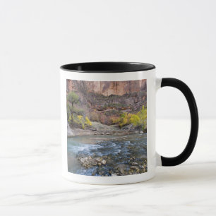 Tasse La rivière Virgin en automne dans le parc national