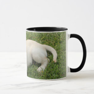 Tasse Laboratoire jaune