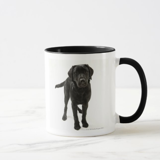 Tasse Labrador retriever noir (Droite)